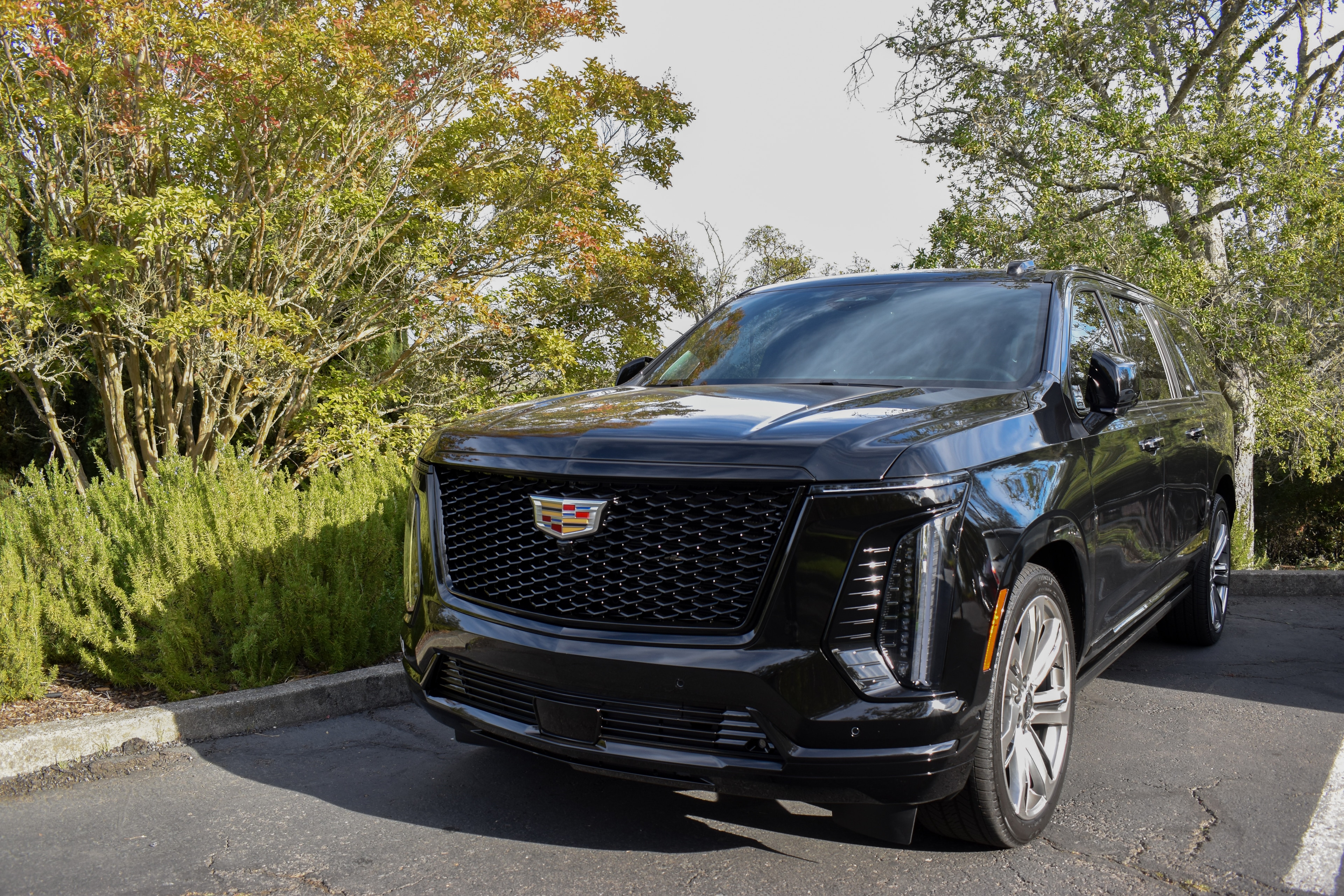 Black Cadillac Escalade prepared for executive charter